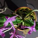 원희 농장 이미지