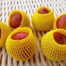 옥이네농장 이미지