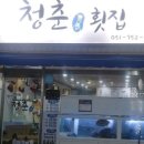 청춘횟집 - 중구 보문로337번길 3 | 청춘횟집