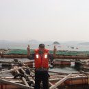 효자도5 이미지