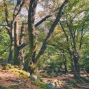 군북면족구장 | 가족여행 추천 장소에서 행복은 두 배로! 유모바일로 온 가족 통신비 절감도 두 배로!(feat.5월 알뜰폰...