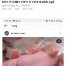 이승엽 늦둥이 막내아들 이미지