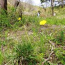 용정3리 경로당 이미지