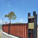 청도펜션 촌캉스 제대로 즐기고 온 &#34;청도거슬러오른집&#34; 가족여행 후기 🌾
