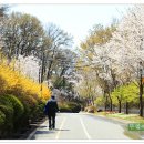 화원동산 이미지