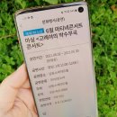 마티네 콘서트 「마실」 - 고래야의 박수무곡 콘서트 이미지