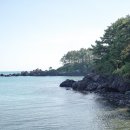 큰갯물바다 이미지