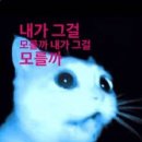 바이널주 | 팬게이머 팝업 첫 날 후기
