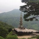 청량사 - 839 | 청량사