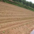 다성2공인중개사사무소 이미지