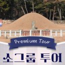 (주)마루투어