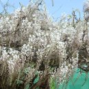 무안북중학교 이미지