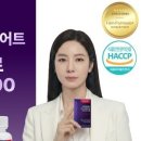 지엘 핏 이미지