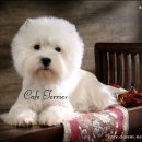 몰리 - 전주시 완산구 거마중앙로 53 | 몰리