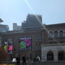 들꽃으로 표현하는 압화(Ⅰ) | 서울시립미술관 전시 《최재은: 약속》 서소문 본관 전시후기_봄날 압화 앞에서 오래 머물렀다