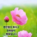 오리만찬 - 양산시 | 오리만찬