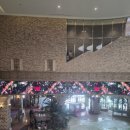 디 오아시 이미지