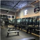 머슬피플 이미지