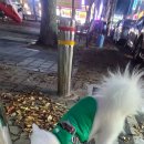 털보상회 이미지