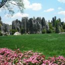 석림3로 이미지