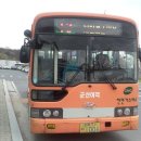 현대 사원아파트 앞 공원 이미지