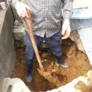 여천약국 이미지