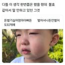 안경진정성 고척점 | 2024 결산 3