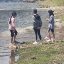 가족소풍캠핑장 이미지