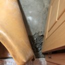 수정로220번길 이미지