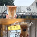 준갤러리 | 강릉 여행 필수 코스 갤러리밥스, 툇마루 비교 후기