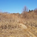 춘천하우스 이미지