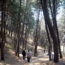 수변공원 이미지