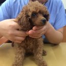 화랑동물병원 이미지