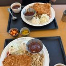 신제주집 | [제주/노형] 제주 신제주 홍익돈까스 내돈내산 후기｜세트A 구성·맛·양 솔직 리뷰