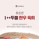 한우투뿔육사시미