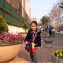 청무체육관 (킥복싱) 이미지