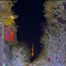 개미공원 근처 | [Tokyo] day 2. 가을의 우에노공원, 롯본기 힐즈 일루미네이션