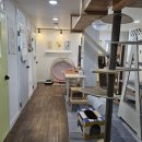 고양이호텔 묘랑묘랑 이미지