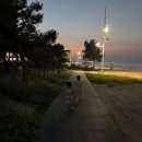 경포뜰 | 근황일기2 - 강릉 경포 해수욕장 후기 가족 아이들과 다녀오기 좋은 곳