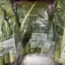 아기숟가락 광명옥길점 이미지