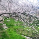 성북2리 마을회관 이미지