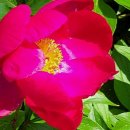 함박공원 입구 이미지