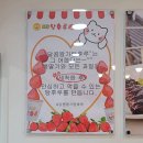 거제 왕가탕후루 유명한 탕후루 솔직후기