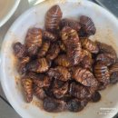 K2 KOREA | 수원역 맛집 고래아저씨, 비주얼 쇼크! 냄비 가득 넘치는 대왕 조개전골 실물 후기
