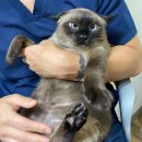 명덕동물병원 이미지