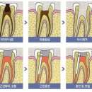 스마일홍치과의원 이미지