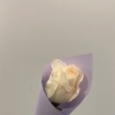 승진민박 이미지