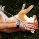 포인트동물의료센터 이미지