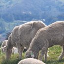 생선구이명가 이미지