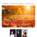 미라바이올린학원 이미지